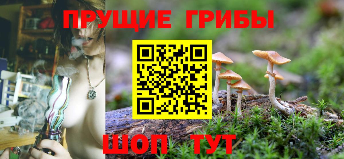 Галлюциногенные грибы мицелий  продажа наркотиков  Галлюциногенные грибы Psilocybe  Озёры  Вход с VPN 